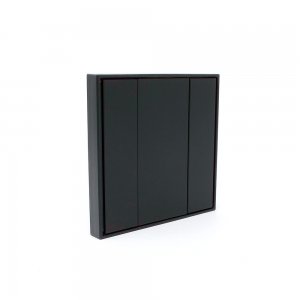 Sunricher DALI 2-Key Push Button Wall Panel Black (BUS Powered)